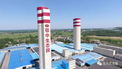 以品牌引領(lǐng)綠色農(nóng)業(yè) 復(fù)合微生物肥料研發(fā)的新時代